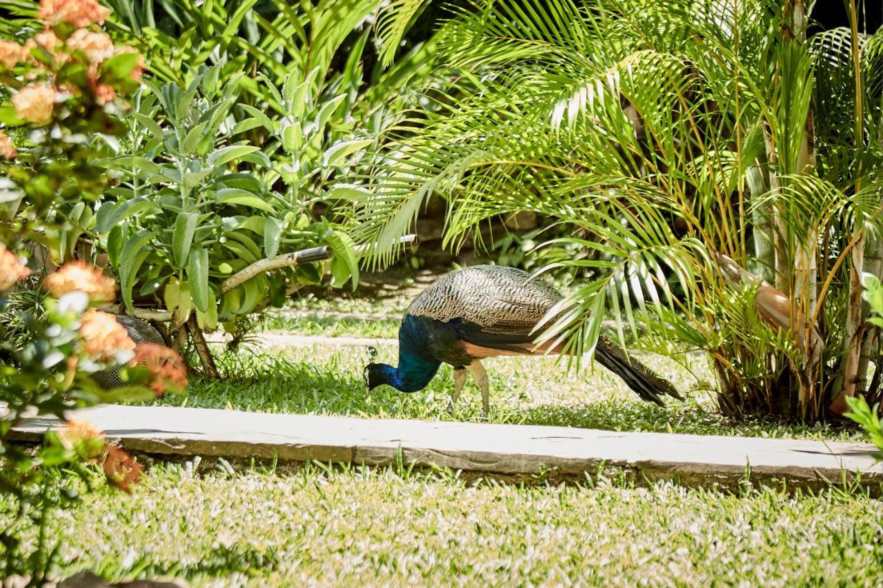 Villa Lu Amazon Ecolodge Тарапото Экстерьер фото