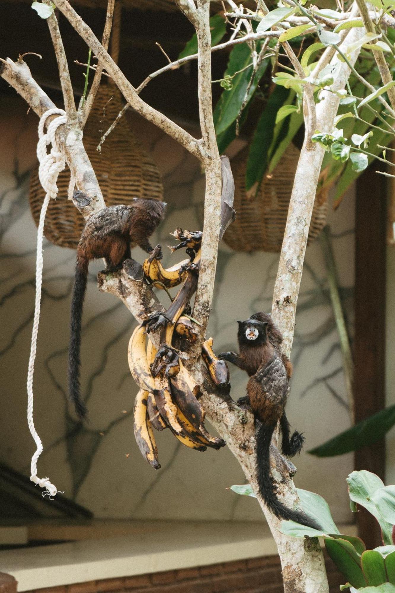 Villa Lu Amazon Ecolodge Тарапото Экстерьер фото
